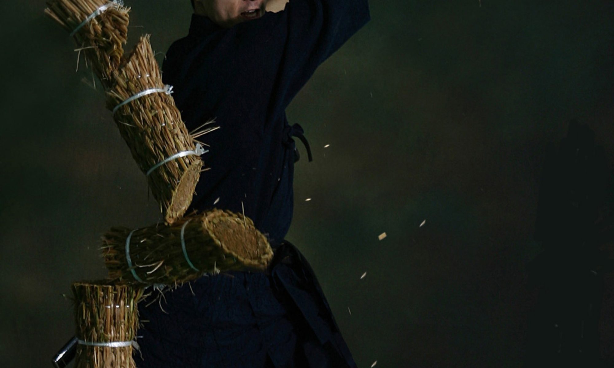 Česká Federace Toyama Ryu